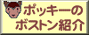 ポッキーのボストン紹介